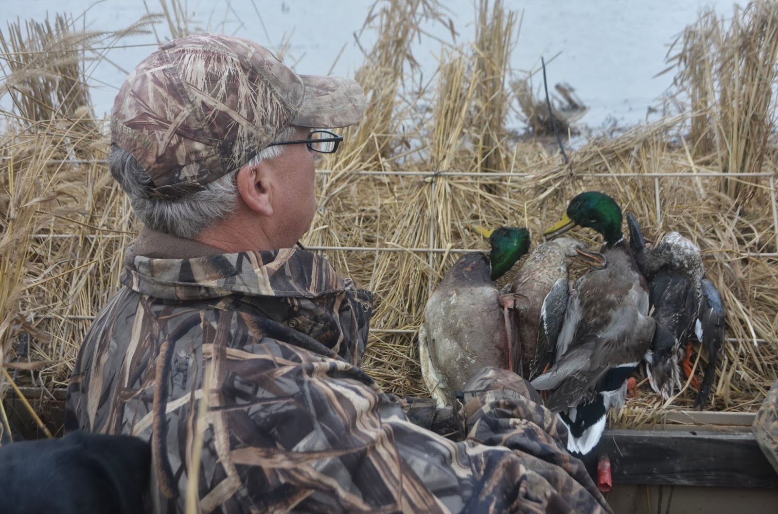 OUTSIDE AGAIN ADVENTURES Rice Field Ducks