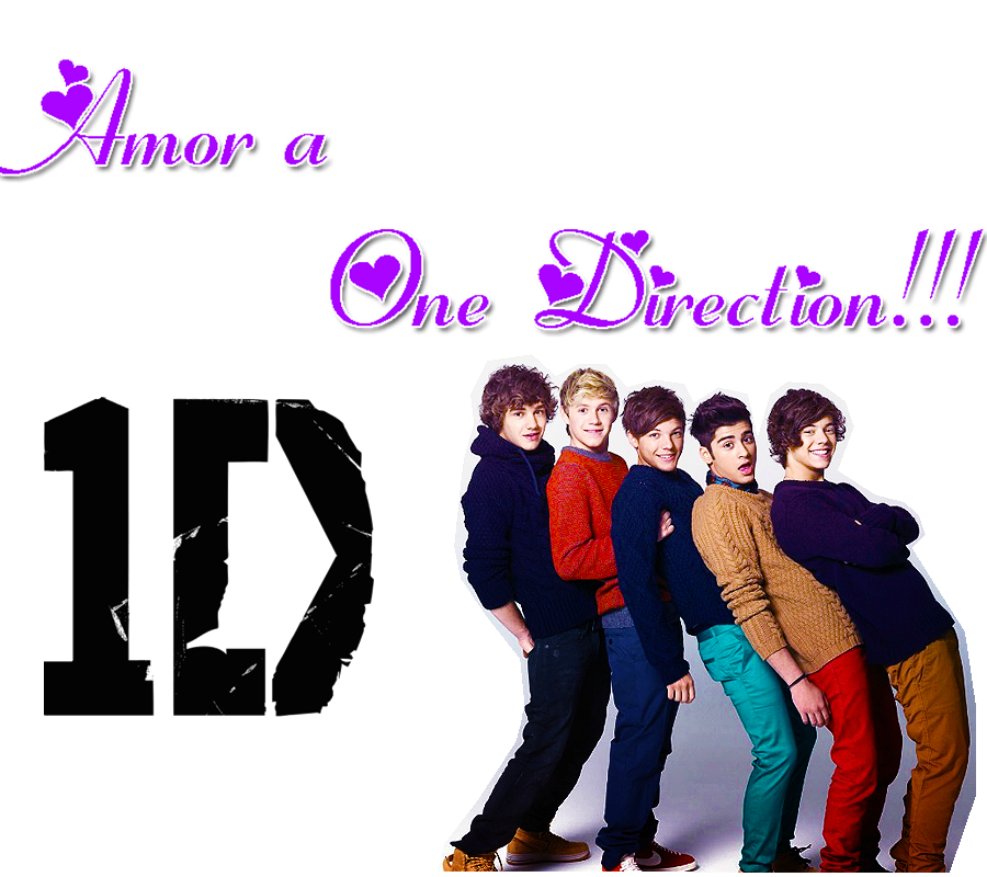 Amor a One Direction