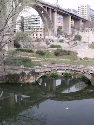 Puente San Jorge