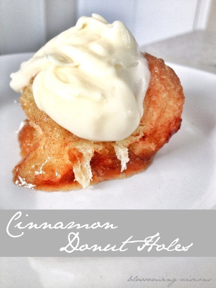 Blossoming Visions Cinnamon Donut Holes