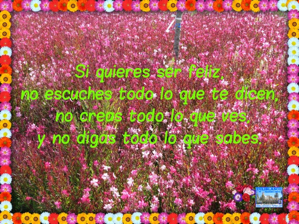 Resultado de imagen para Frases del 5 de Agosto