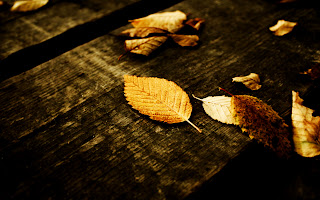 Wood Texture and Fallen Yellow Leaves HD Wallpaper