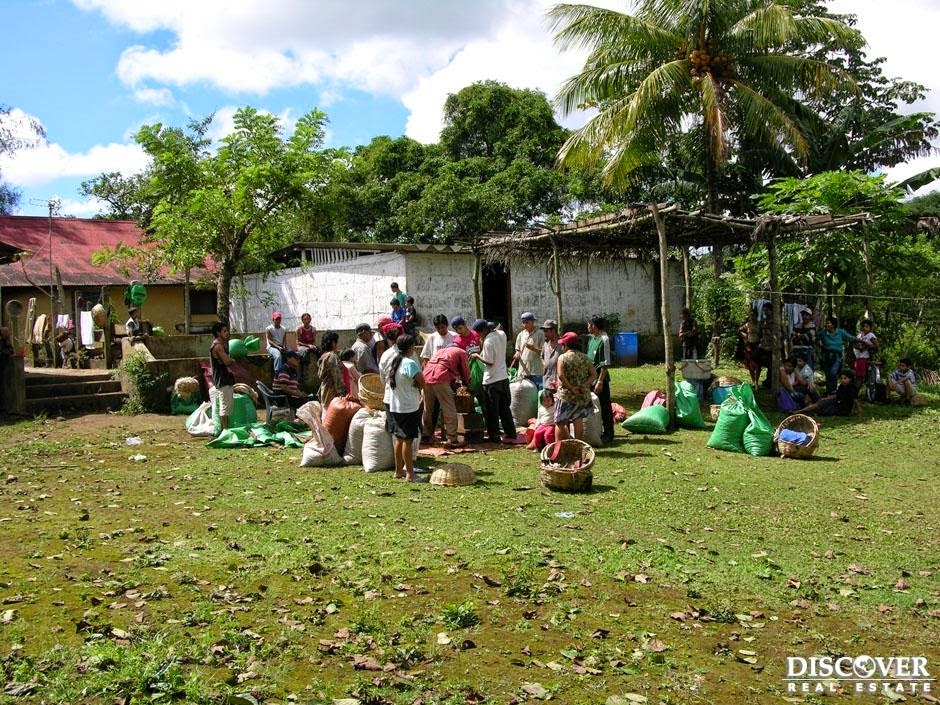 Nicaragua Farms for Sale Nicaragua Land for Sale Coffee farm for sale in Jinotepe Carazo