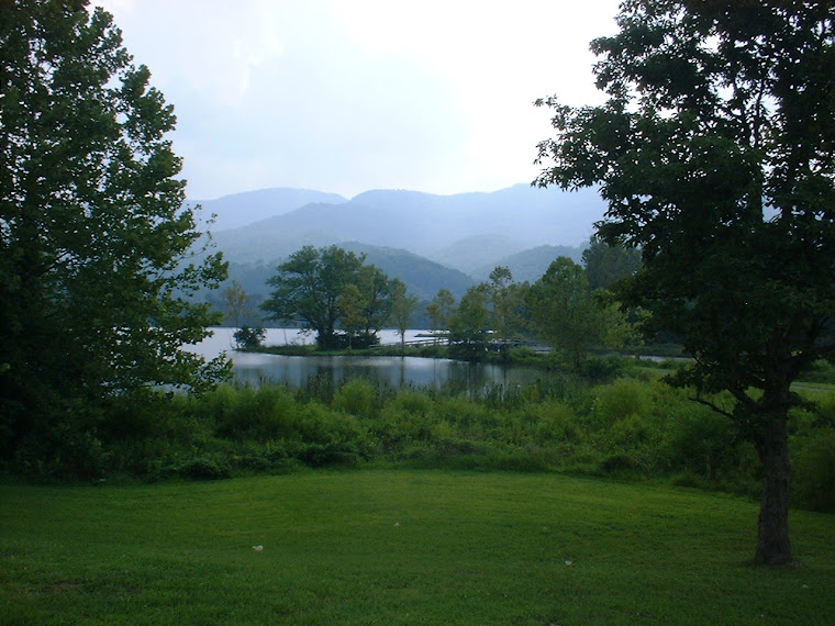 Caryville State Park, TN's Beauty