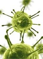 Informatii despre virozele cutanate