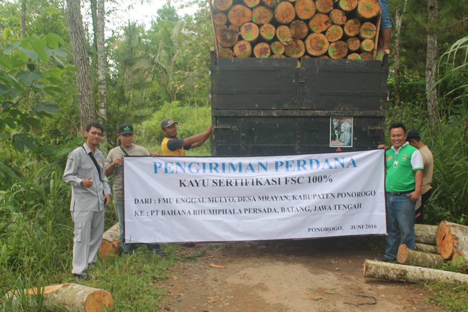 PENJUALAN KAYU BERSERTIFIKAT 100% FSC