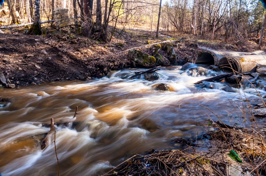 Одиночные катания
