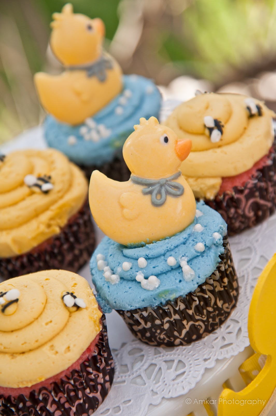 Running from the Law Mac's Family Baby Shower