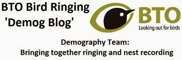 BTO Bird Ringing - 'Demog Blog'