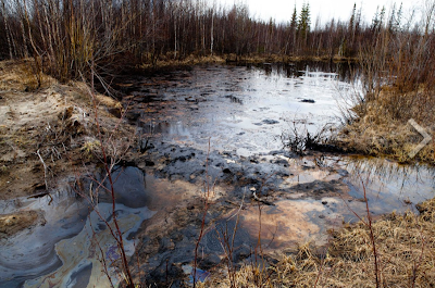 Russia's hidden artic nightmare which shows how polluted the landscape is up there, largely because big oil has polluted it so badly