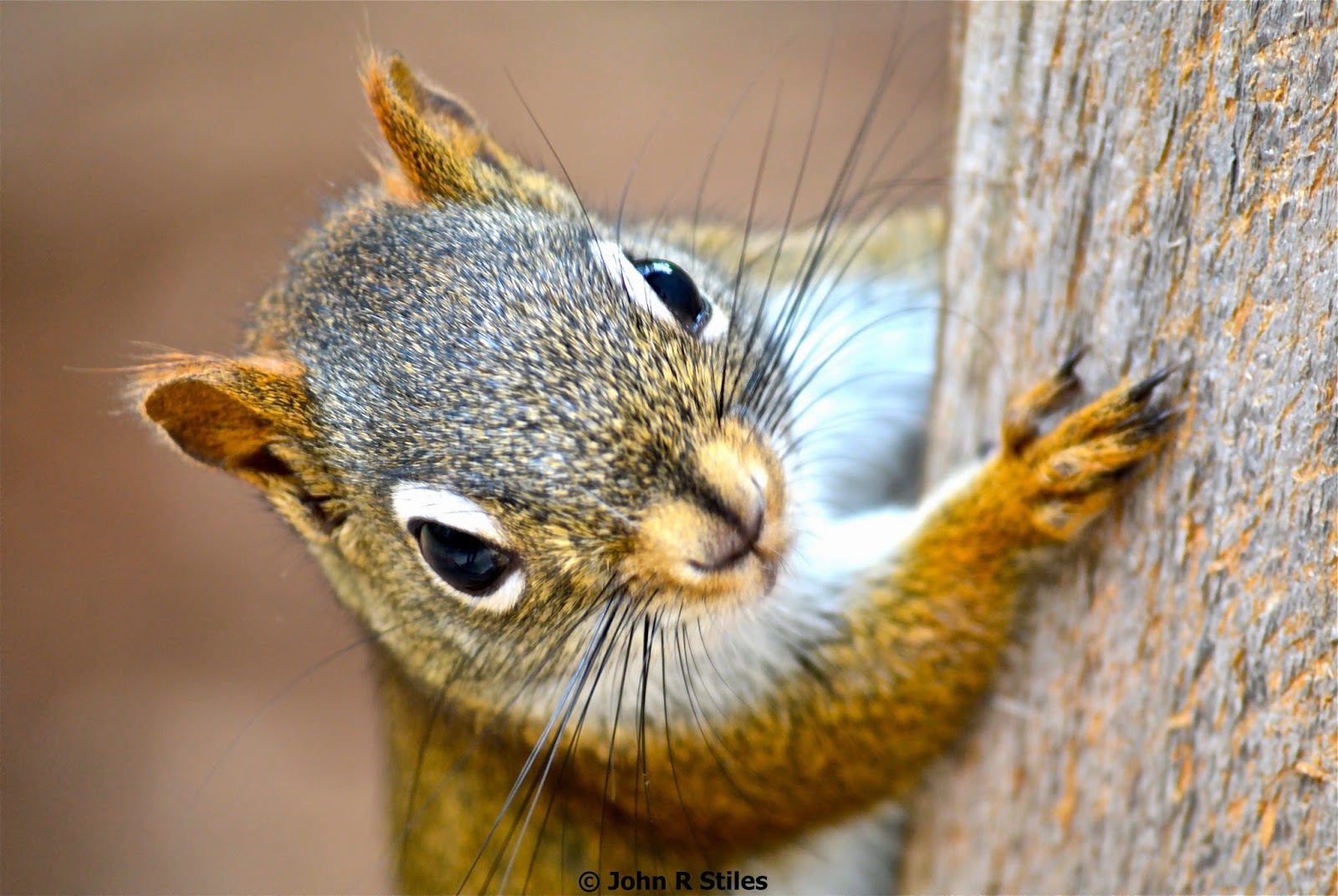 Expat Teacher in Thailand May 2014