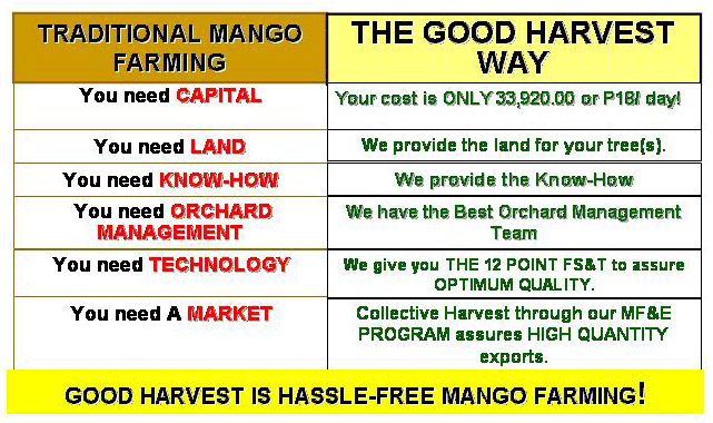 gh investment opportunity good harvest mango orchard