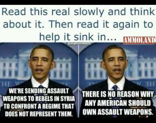 rebels-arming-them-and-disarming-americans-obama.jpg
