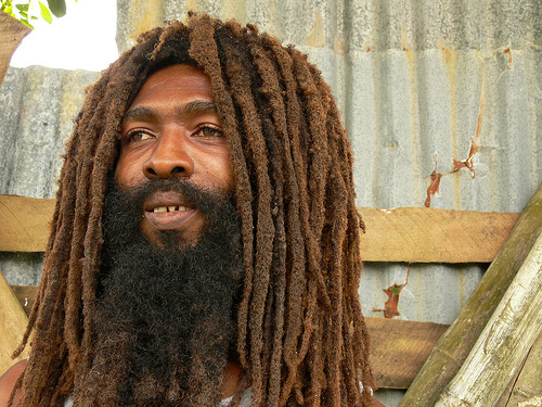 Rasta Man Taken From Trinidad Hair Website Rasta Man Taken From Trinidad Hair Website