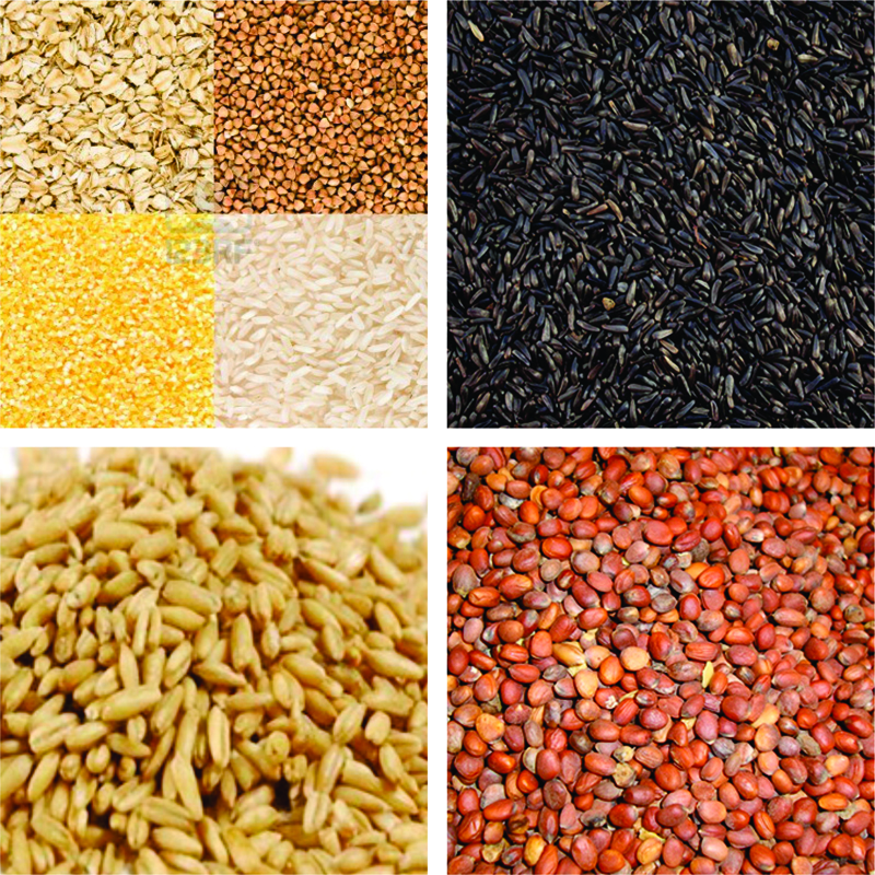 Pakan (Makanan) Burung Kenari | IndoVersa