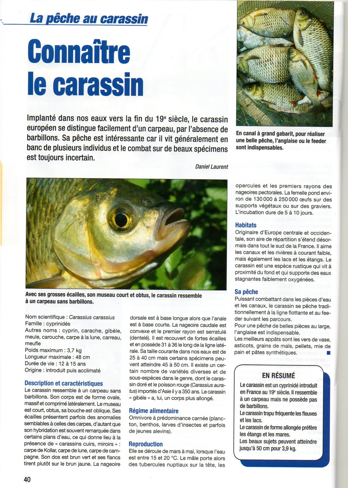 La pêche mobile russe télécharger toutes les versions sur le téléphone