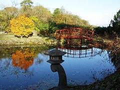 Japanese garden