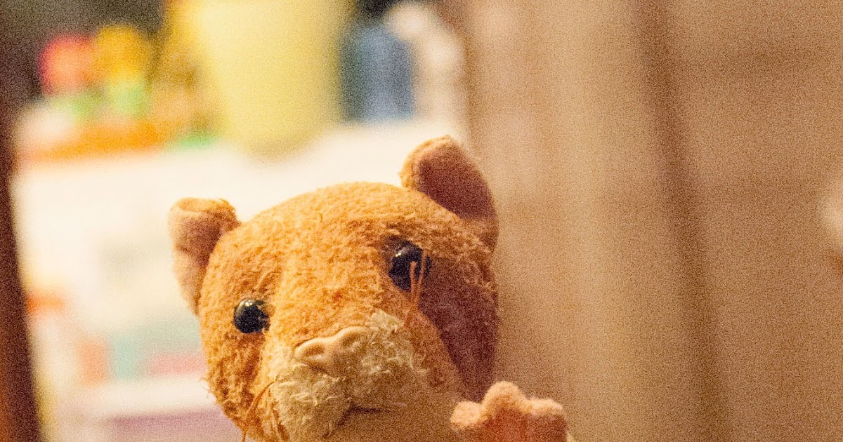 Mom with a Dandelion in Her Hair A Guinea Pig Shower
