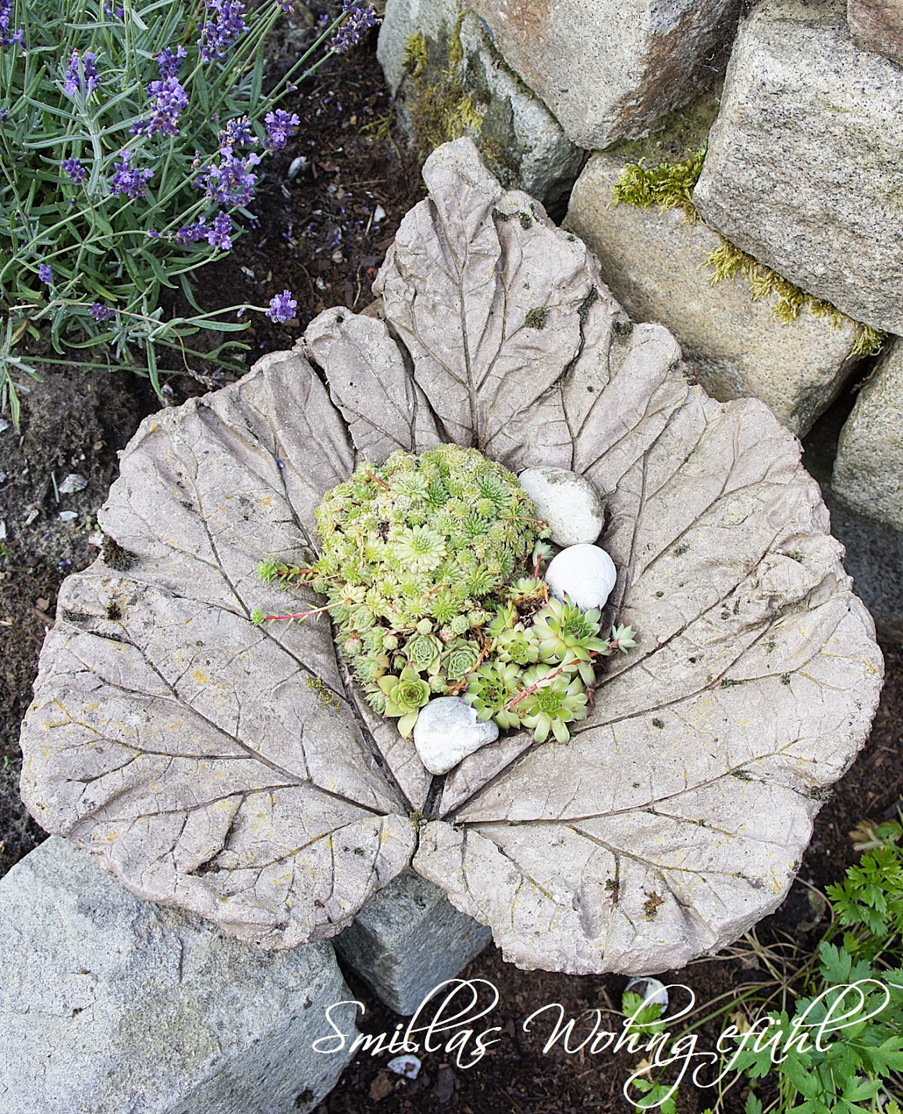 Smillas Wohngefühl: DIY: concrete leaves / Blätter aus Zement