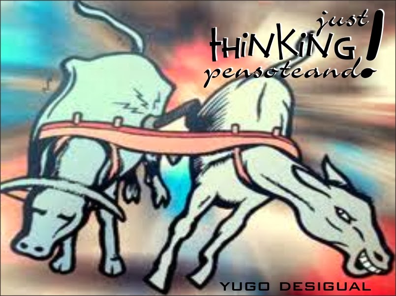 yugo desigual