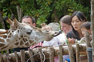 Go Back to the Zoo band name origins - Woodland Park Zoo How Go Back to the Zoo got their band name - Woodland Park Zoo