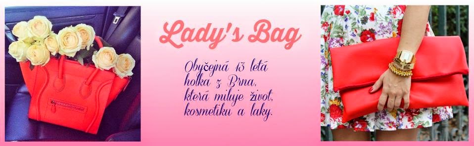 Lady's Bag 
