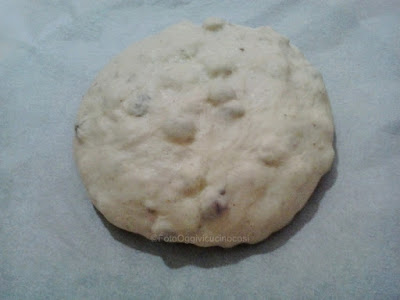 Panettone alle Albicocche e Uvetta©Oggivicucinocosì