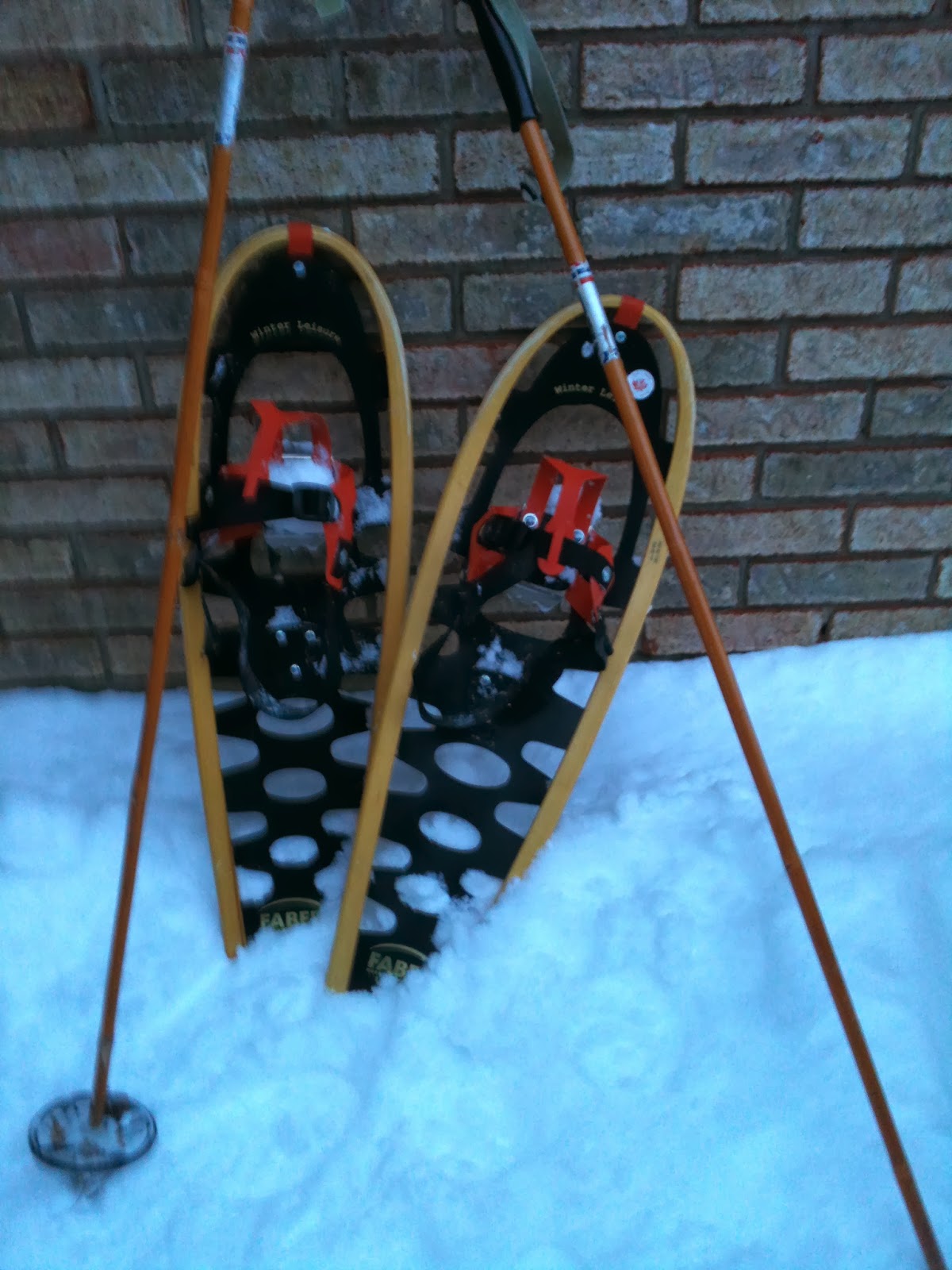 Snowshoes and Ski Poles snowshoes, ski poles
