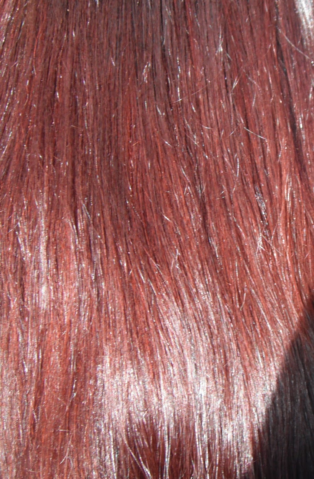 Coney Chamberlain I love henna