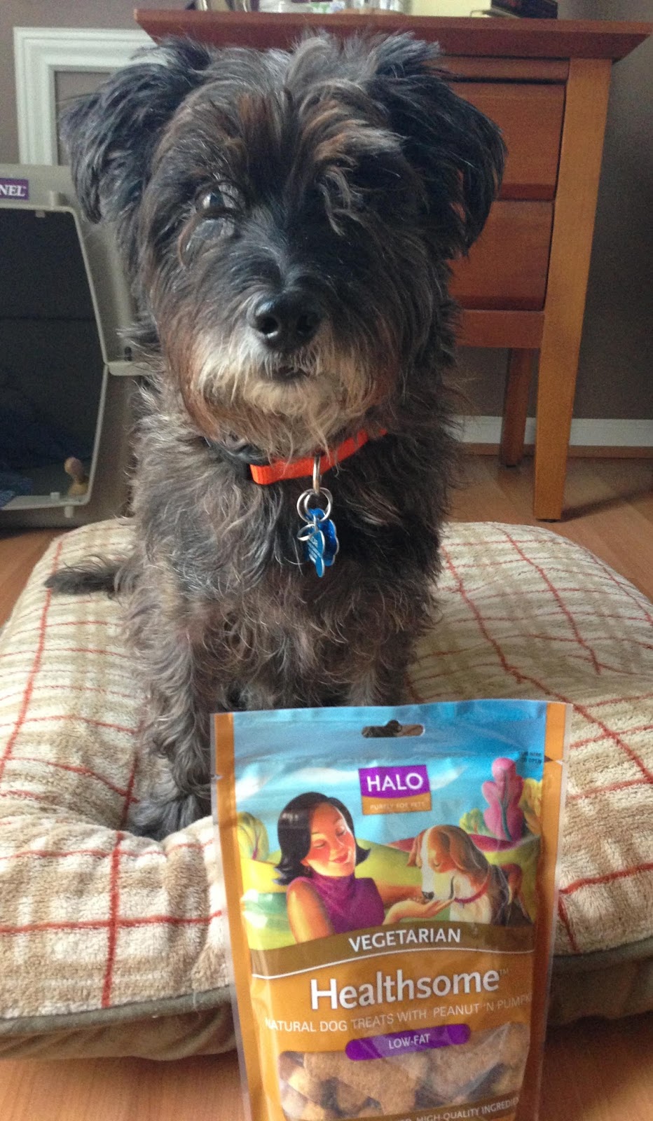 Does Ellen Degeneres Own Halo Dog Food