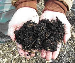 Knowing Organic Fertilizer for Soil Health