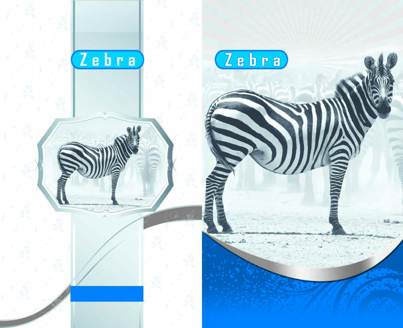 note book wrappers designs