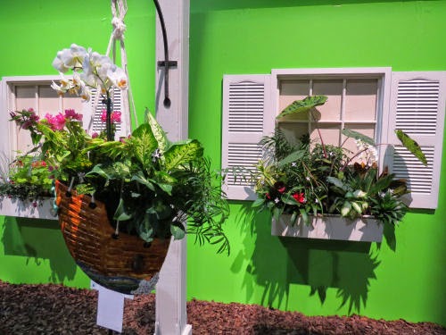 Philadelphia Flower Show 2015 Window Box and Lamp Post: Johnny Depp