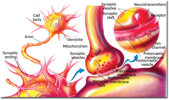 The Fact Of Creation: The External World Behind Quantum Physics - 1