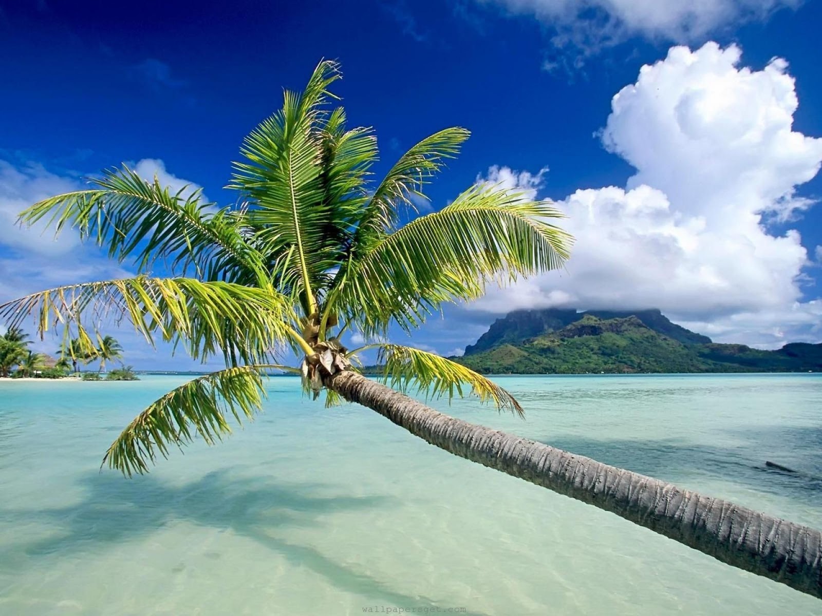 http://4.bp.blogspot.com/-pz9an1nJwQQ/UHamjVPSTAI/AAAAAAAAE-0/EiBVNNlJmXA/s1600/bora-bora-island-polynesia-pacific-ocean-beautiful-scenery-1440x1920.jpeg