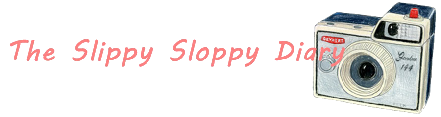 The Slippy Sloppy Diary