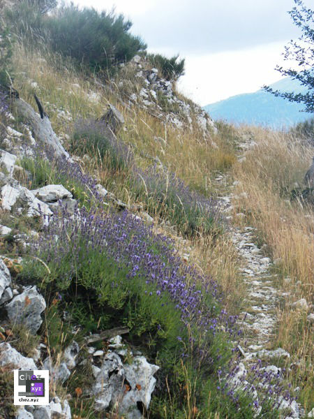 A la recherche du Dahut par Amasculpteur - Alpes de Haute Provence A la recherche du Dahut par Amasculpteur - Alpes de Haute Provence