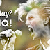El día que David Bowie le dijo «NO» a Coldplay, porque no le gustaban