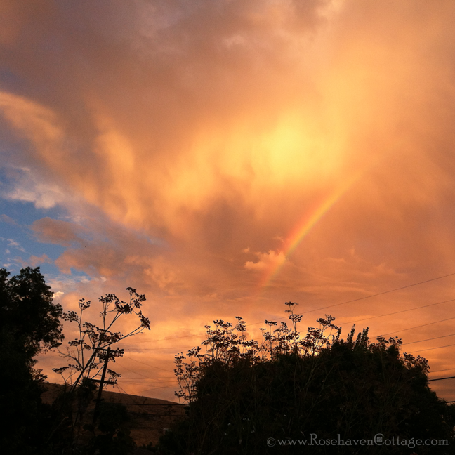 Rosehaven Cottage Rainless rainbows and giant prisms in the sky