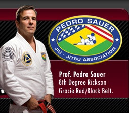 Pedro Sauer Online