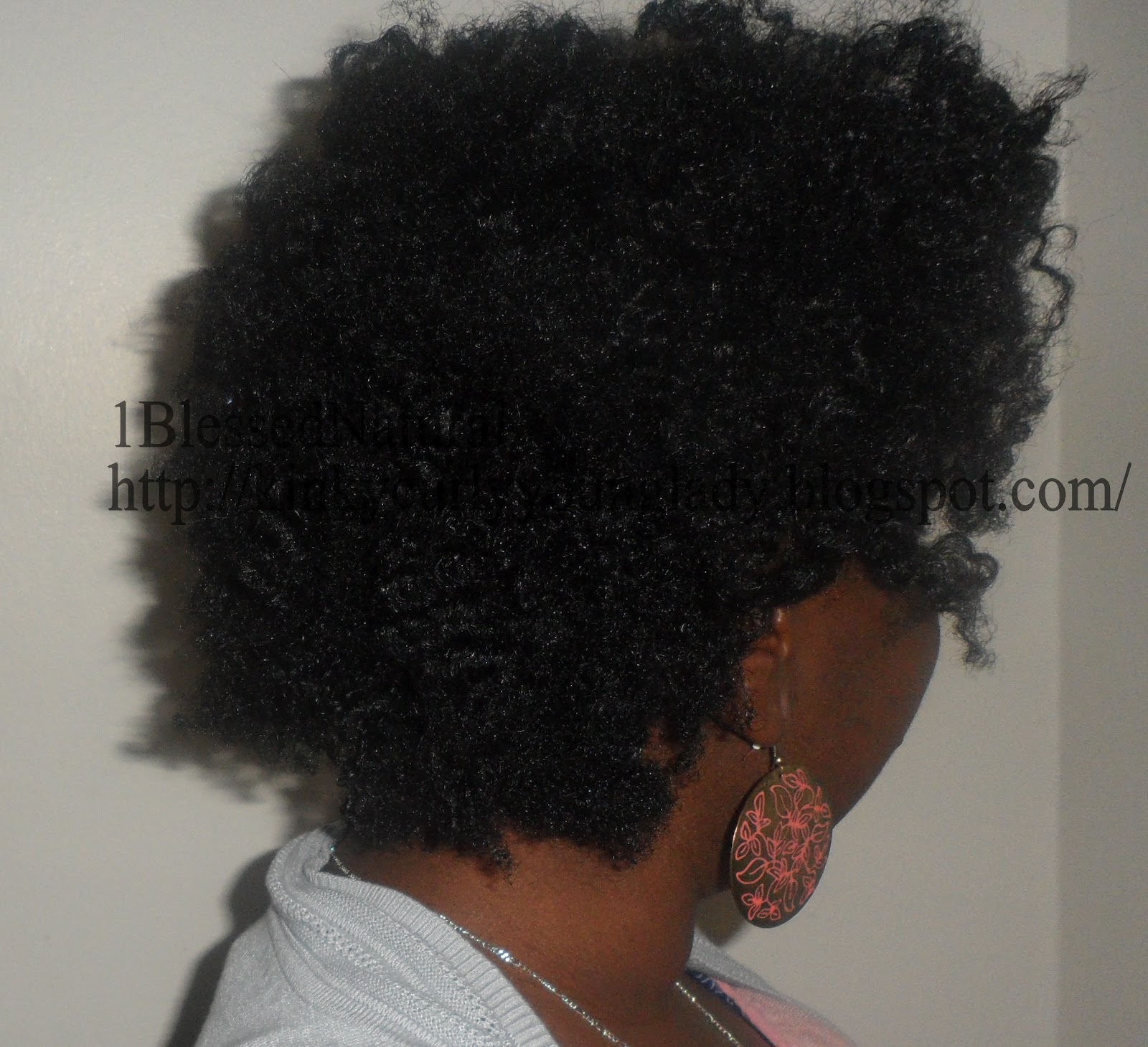 Diy Two Strand Twist Bantu Knot Out