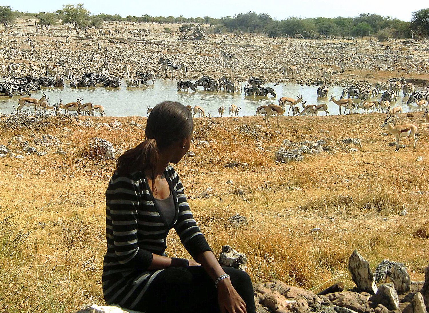 http://4.bp.blogspot.com/-q0ubxY27P-g/Tk6PbgrNrUI/AAAAAAAAHgI/z51BqTAMA4Y/s1600/bam-lazarus-etosha-waterhole.jpg