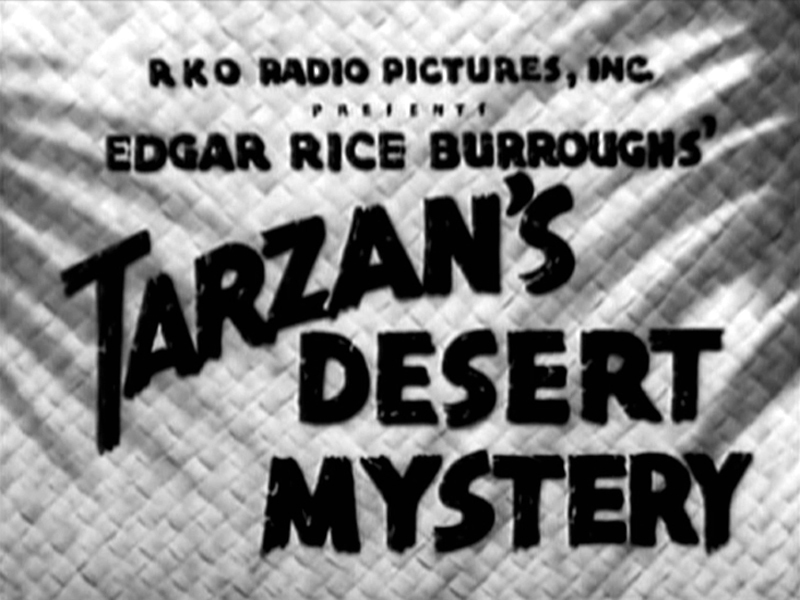 Desert Lesser Spider