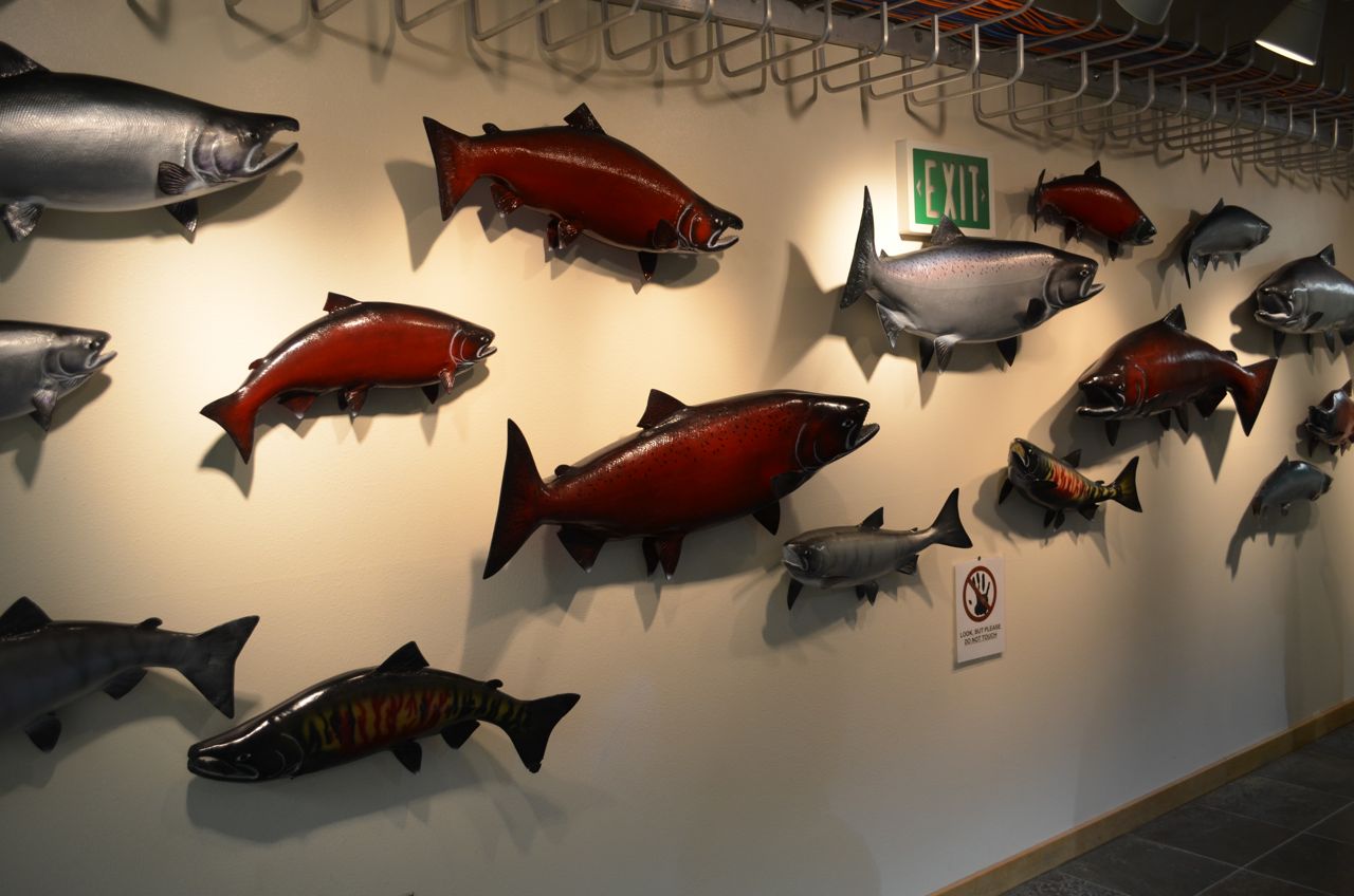 3000 miles north & back Kodiak, Alaska in April