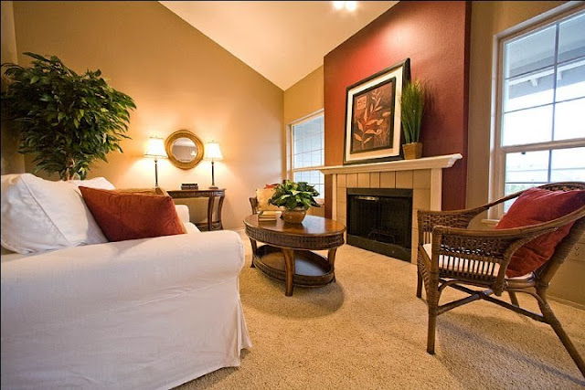 Paint Color Ideas for Living Room Accent Wall