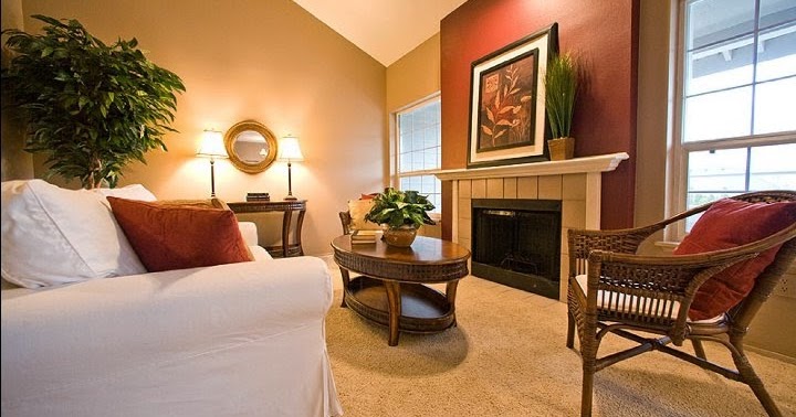 Paint Color Ideas for Living Room Accent Wall