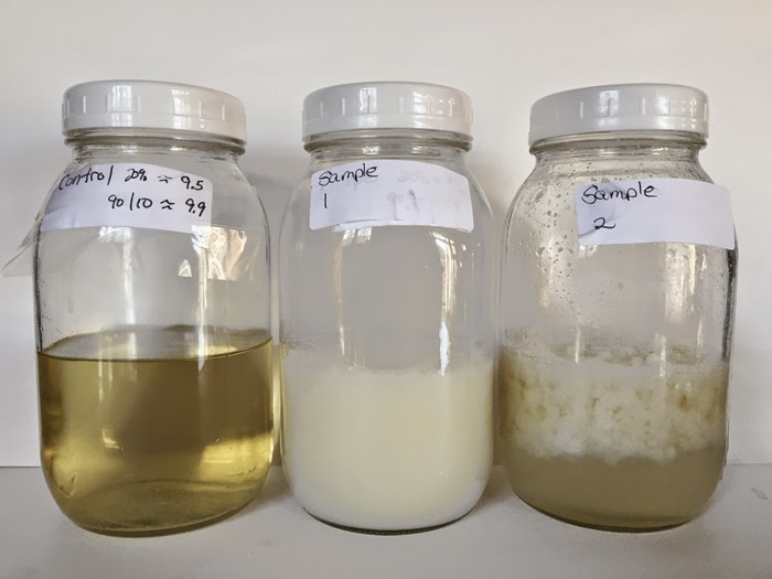 Alaiyna B. Bath and Body pH testing of liquid soap and lowering pH