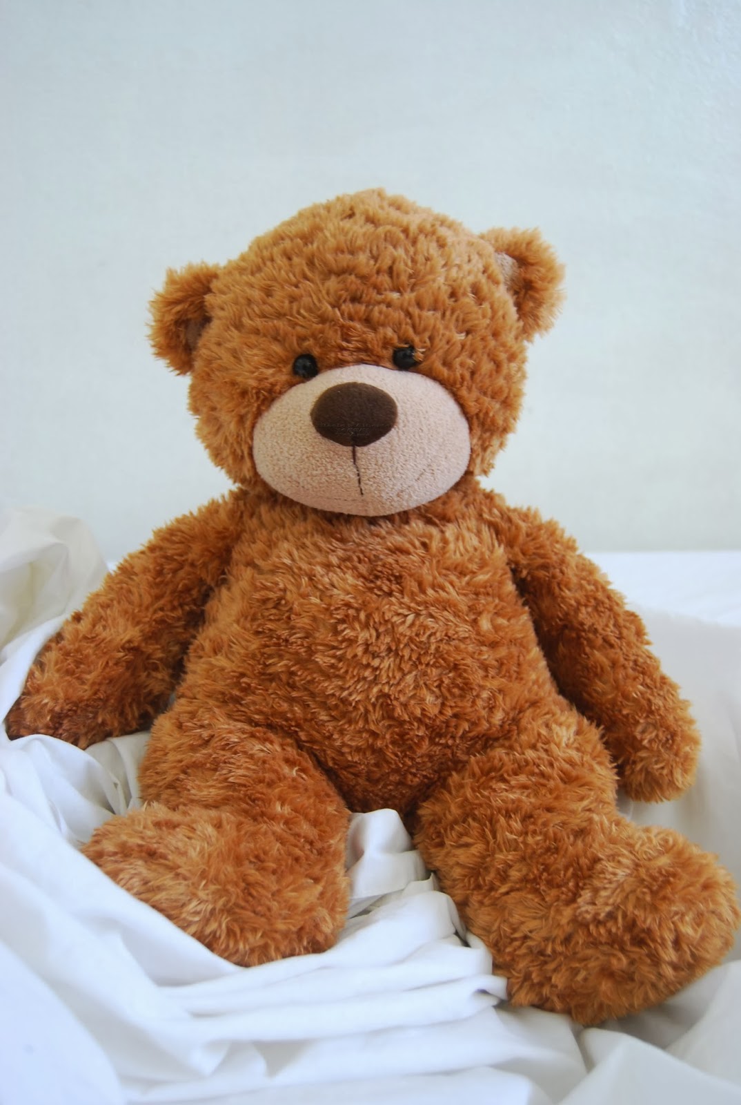osito teddy atc