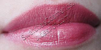 Swatches Cosmetics Свотчи Косметики Губная помада для губ Lipstick Artdeco №462