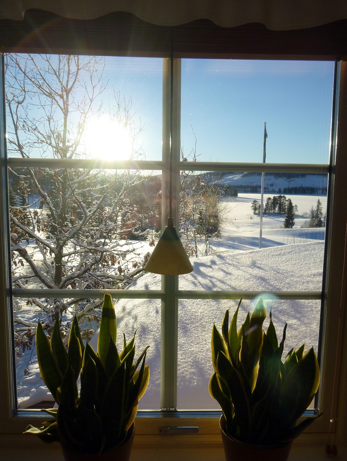 GÃ¥rdsbacken: januari 2013